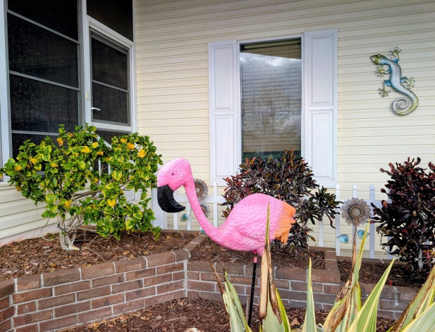 144 Tiger Lilly Dr, Parrish, Florida 34219, 2 Bedrooms Bedrooms, ,2 BathroomsBathrooms,55-Plus Mobile Home,For Sale,Tiger Lilly Dr,4622