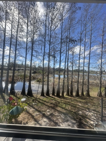 8225 Arevee Dr, Lot 908, New Port Richey, Florida 34653, 1 Bedroom Bedrooms, ,1 BathroomBathrooms,55-Plus Mobile Home,For Sale,Arevee Dr, Lot 908,4624