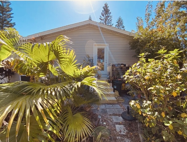 65 Lone Pine Ave, Dunedin, Florida 34698, 2 Bedrooms Bedrooms, ,2 BathroomsBathrooms,55-Plus Mobile Home,For Sale,Lone Pine Ave,4643