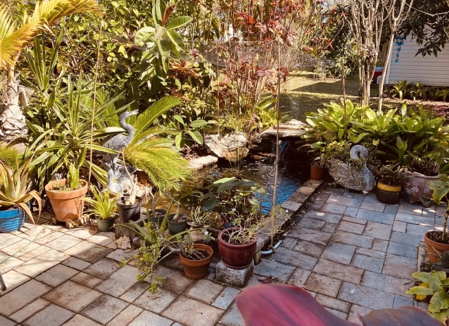 65 Lone Pine Ave, Dunedin, Florida 34698, 2 Bedrooms Bedrooms, ,2 BathroomsBathrooms,55-Plus Mobile Home,For Sale,Lone Pine Ave,4643