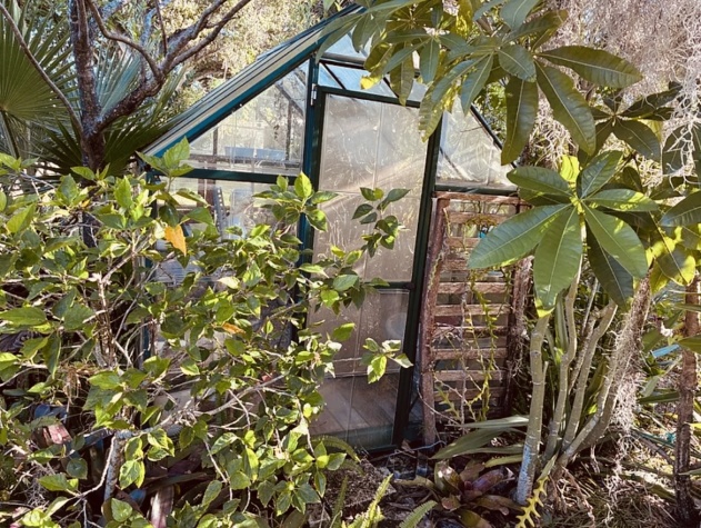 65 Lone Pine Ave, Dunedin, Florida 34698, 2 Bedrooms Bedrooms, ,2 BathroomsBathrooms,55-Plus Mobile Home,For Sale,Lone Pine Ave,4643