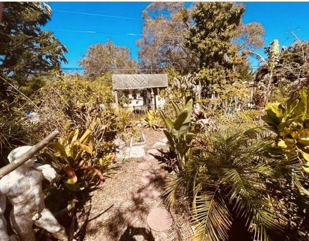 65 Lone Pine Ave, Dunedin, Florida 34698, 2 Bedrooms Bedrooms, ,2 BathroomsBathrooms,55-Plus Mobile Home,For Sale,Lone Pine Ave,4643