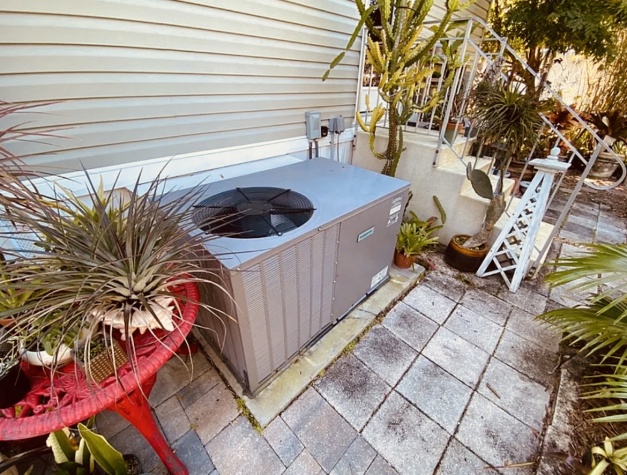 65 Lone Pine Ave, Dunedin, Florida 34698, 2 Bedrooms Bedrooms, ,2 BathroomsBathrooms,55-Plus Mobile Home,For Sale,Lone Pine Ave,4643