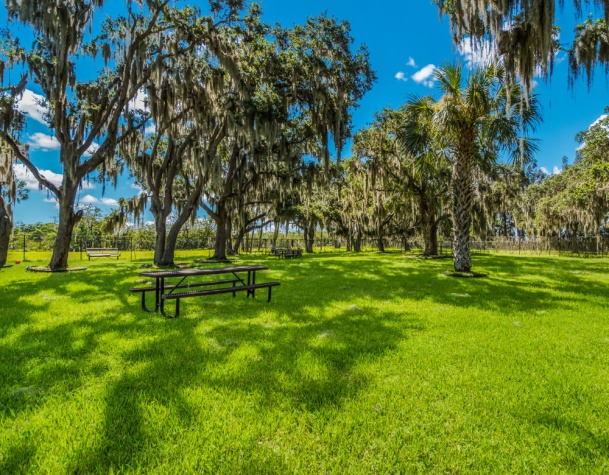 309 Holland St, Ellenton, Florida 34222, 3 Bedrooms Bedrooms, ,2 BathroomsBathrooms,55-Plus Mobile Home,For Sale,Holland St,4647