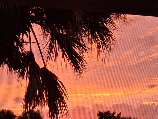 5851 River Grove Dr, 32976, Florida 32976, 2 Bedrooms Bedrooms, ,1.5 BathroomsBathrooms,55-Plus Mobile Home,For Sale,River Grove Dr,4651