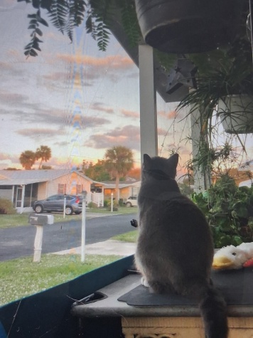 5851 River Grove Dr, 32976, Florida 32976, 2 Bedrooms Bedrooms, ,1.5 BathroomsBathrooms,55-Plus Mobile Home,For Sale,River Grove Dr,4651