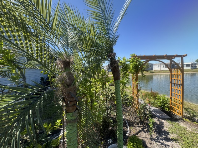 7916 Chandler Street, Ellenton, Florida 34222, 3 Bedrooms Bedrooms, ,2 BathroomsBathrooms,55-Plus Mobile Home,For Sale,Chandler Street,4697