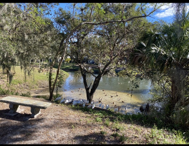 2850 Hague Ave, 34234, Florida 34234, 3 Bedrooms Bedrooms, ,2 BathroomsBathrooms,55-Plus Mobile Home,For Sale,Hague Ave,4715