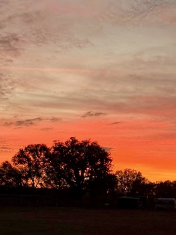 5905 NE Cubitis Ave, Lot 114, Arcadia, Florida 34266, 1 Bedroom Bedrooms, ,1 BathroomBathrooms,All - Age Mobile Home,For Sale,NE Cubitis Ave, Lot 114,4742