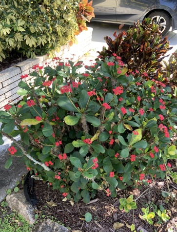 5449 Aylesbury Ln, Sarasota, Florida 34241, 2 Bedrooms Bedrooms, ,2 BathroomsBathrooms,55-Plus Mobile Home,For Sale,Aylesbury Ln,4745